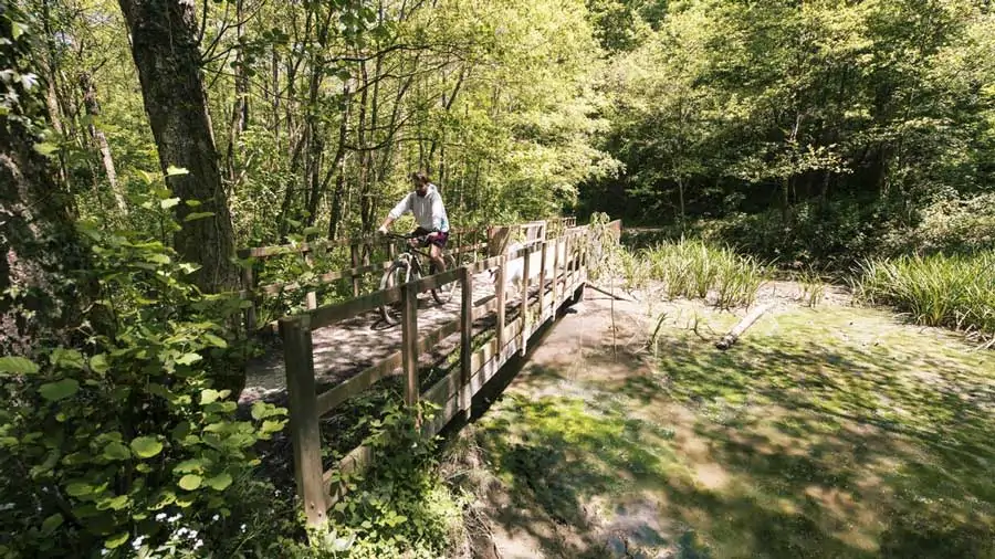 Planes en Donosti con niños - Bosque Miramon
