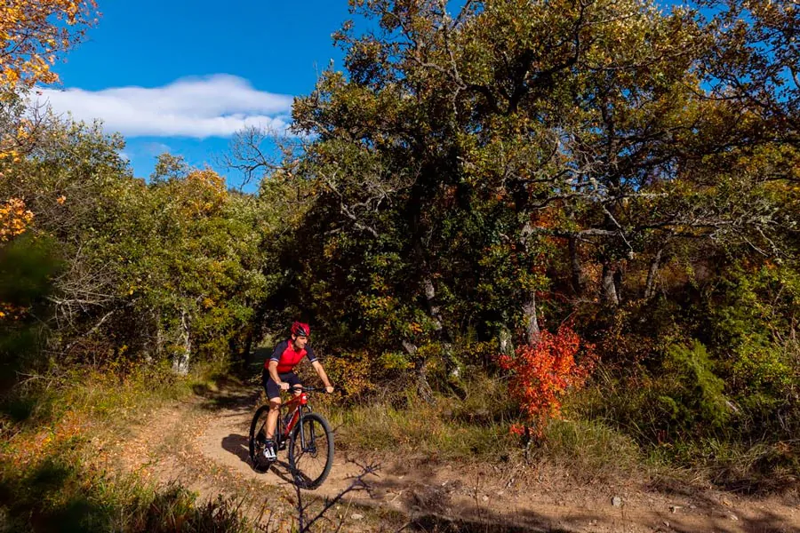 Gorbeia Bira Bike Tour