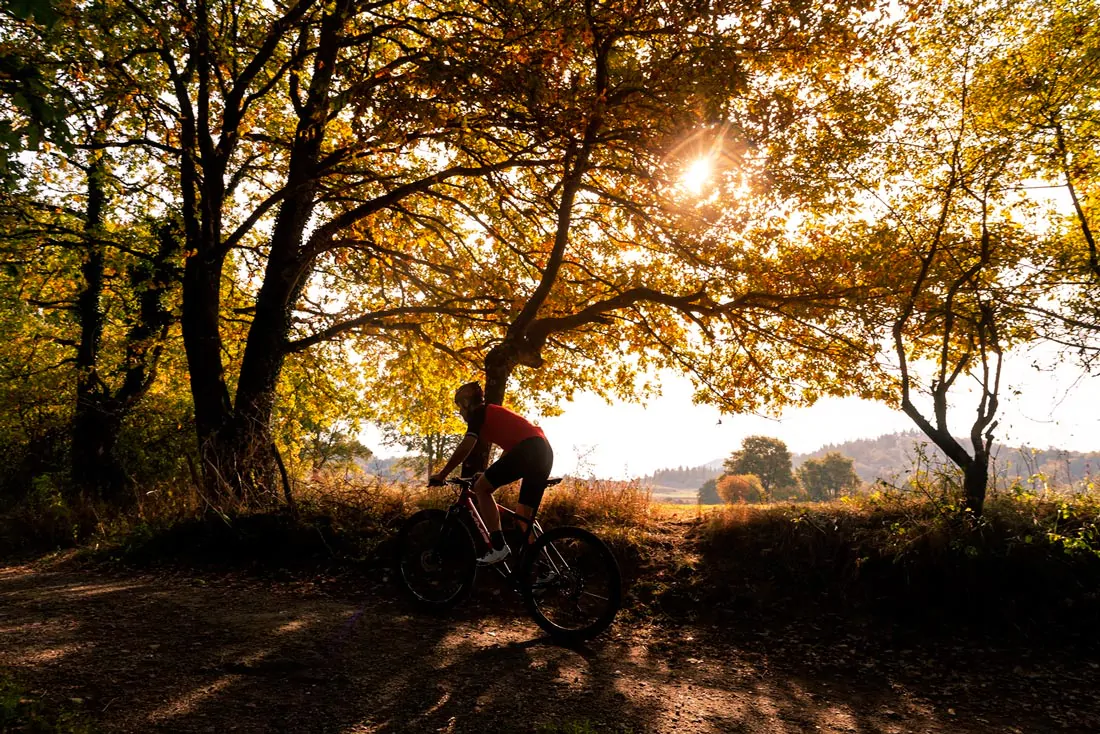 Gorbeia Bira Bike Tour