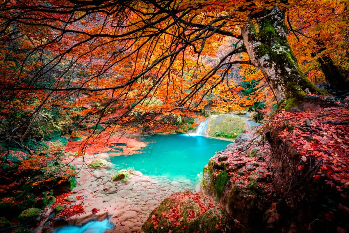 Day Trips in Navarra